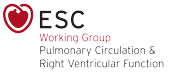 ESC Working Group on Pulmonary Circulation & Right Ventricular Function